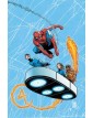 Spider-Man: Web Of Heroes Collection - Panini Comics - Italiano