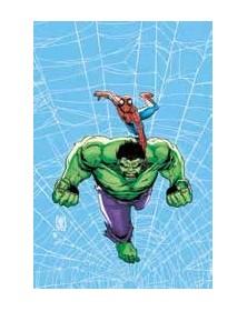 Web Of Heroes Collection Spider-Man & Hulk - Panini Comics - Italiano