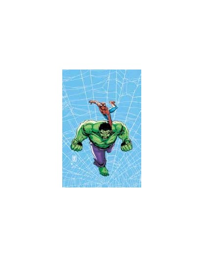 Web Of Heroes Collection Spider-Man & Hulk - Panini Comics - Italiano