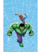 Web Of Heroes Collection Spider-Man & Hulk - Panini Comics - Italiano