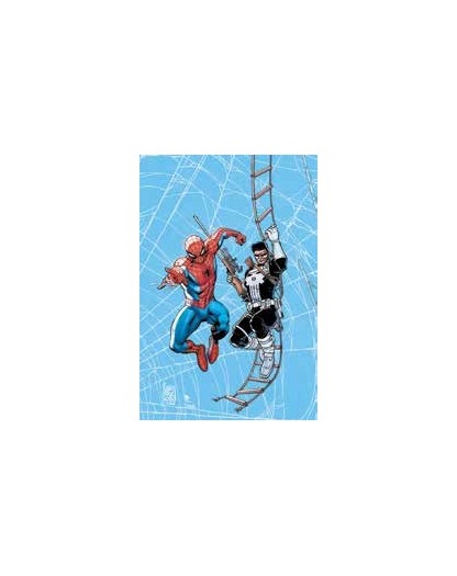 Web Of Heroes Collection Spider-Man & Punisher - Panini Comics - Italiano