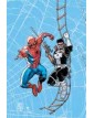Web Of Heroes Collection Spider-Man & Punisher - Panini Comics - Italiano