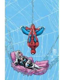 Web Of Heroes Collection Spider-Man & Black Cat - Panini Comics - Italiano