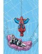 Web Of Heroes Collection Spider-Man & Black Cat - Panini Comics - Italiano