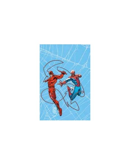Web Of Heroes Collection Spider-Man & Daredevil - Panini Comics - Italiano