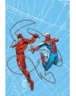 Web Of Heroes Collection Spider-Man & Daredevil - Panini Comics - Italiano