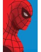 Marvel Pocket Collection Spider-Man: La Storia Della Mia Vita - Panini Comics - Italiano