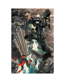 Amazing Spider-Man vol. 14 Amazing Visions Variant Lee Bermejo (8 Di 25) - Panini Comics - Italiano