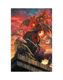 Amazing Spider-Man vol. 14 Amazing Visions Variant Lee Bermejo (9 Di 25) - Panini Comics - Italiano