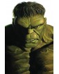 L'immortale Hulk 32 - variant