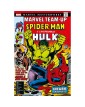 Marvel Masterworks: Marvel Team-Up Vol. 6 - Panini Comics - Italiano