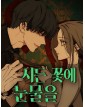 Tears On A Withered Flower Vol. 1 - Star Comics - Italiano