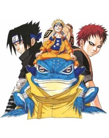Naruto Color New Edition 13 - Panini Comics - Italiano