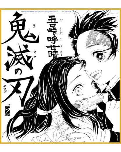 Demon Slayer - Kimetsu No Yaiba New Edition Vol. 4 Di 23 - Edizioni Star Comics - Italiano