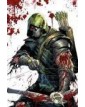 Absolute Freccia Verde 1 Variant Di Tyler Kirkham - Panini Comics - Italiano