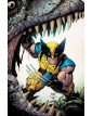 Wolverine: Vendetta - Panini Comics - Italiano
