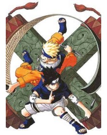 Naruto Color New Edition 17 - Panini Comics - Italiano