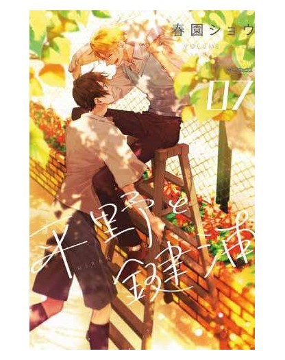 Hirano E Kagiura 7 - Panini Comics - Italiano