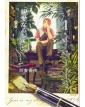 Dear Gene Box - Magic Press - Italiano