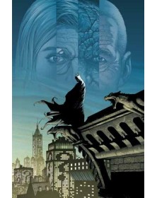 DC Pocket Collection Batman: Terra Uno - Panini Comics - Italiano