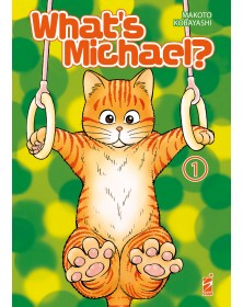 What's michael? Miao edition 1